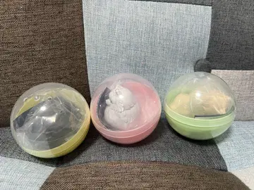 빛나는 목걸이를 한 산책 포메 라이트 가챠 블랙 밀크 크림