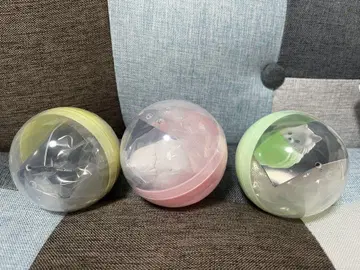 빛나는 목걸이를 단 오산 포메 라이트 3개 세트