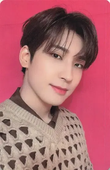 SEVENTEEN 혼자가 아니야 WONWOO 트레이딩 카드