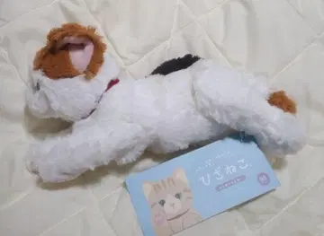 선 레몬 봉제 인형 무릎 고양이 SS 미케