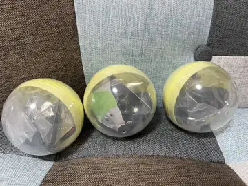 빛나는 목걸이를 한 산책용 포메 라이트 블랙 3개 세트