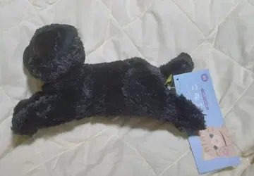 선 레몬 봉제 인형 무릎 고양이 SS BK 블랙