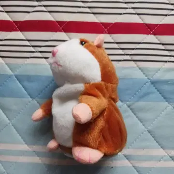 모방(말하기) 햄스터