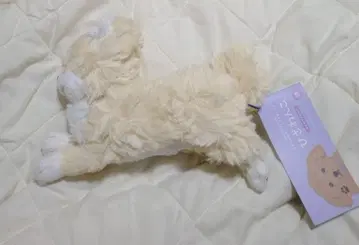 선 레몬 봉제 인형 무릎 강아지 SS 치와와 CR 크림