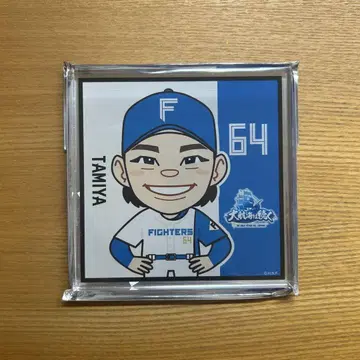 닛폰 햄 타미야 유스케 아크릴 블록