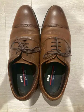 texcy luxe 브라운 27.0cm