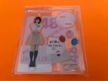나리타 카나 히나 AKB48 악수회 한정판 아쿠슈타 아크릴 스탠드