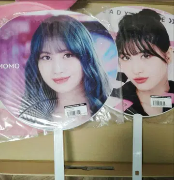TWICE 허벅지 부채 ready to be onceday 모모린
