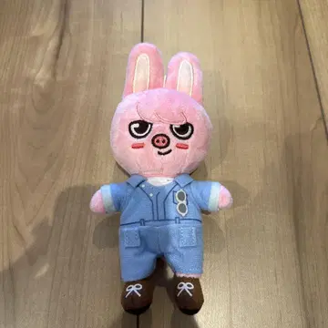 skzoo 봉제 인형 찬빈
