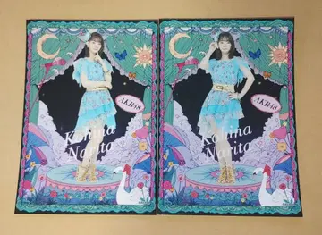 AKB48 나리타 카나 히나 극장 대의상전 브로마이드