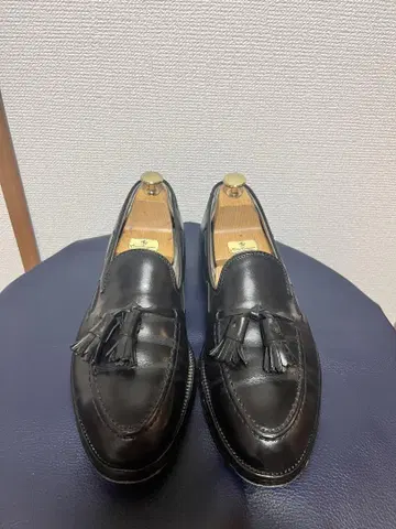 알든 태슬 로퍼 8 B/D