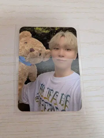 SEVENTEEN 승관 Dicon 트레이딩 카드 포토 카드