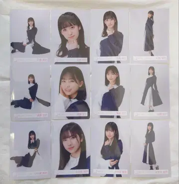 사카미치 시리즈 12장 세트 포트레이트
