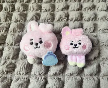 BTS COOKY 봉제 인형 배지 세트