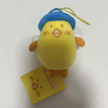 아스트로 로로하 푹푹