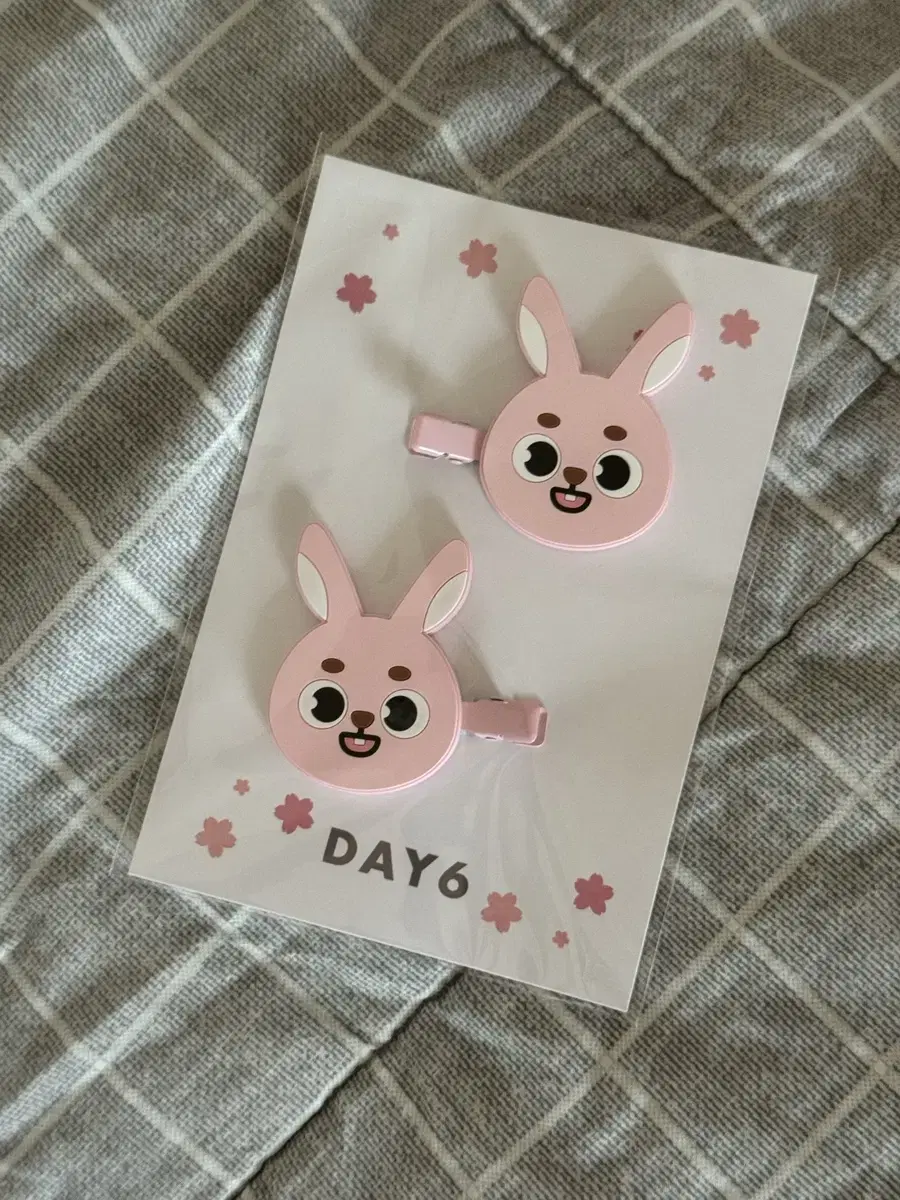 Sealed Day6 Denimals Hairpin Pil