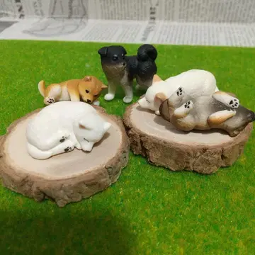 시바견 피규어 5개 세트