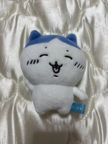 치이카와 (먼작귀) 생식기 마스코트