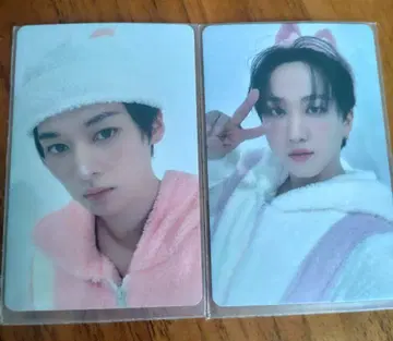 스트레이키즈 리노 찬빈