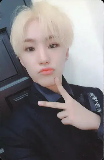 SEVENTEEN An Ode HOSHI 트레이딩 카드 화이트