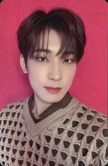 SEVENTEEN 혼자가 아니야 WONWOO 트레이딩 카드