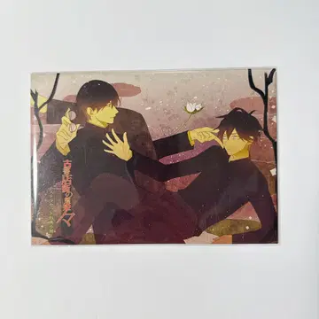 고서점 거리의 다리 공주 스텔라워스 혜택 소책자 가와세 타마모리