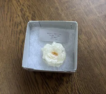 alpaca hana 화이트 플라워 브로치