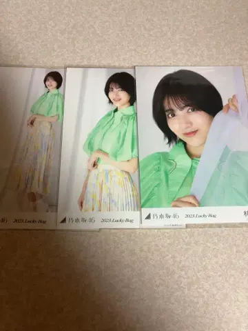 노기자카46 브로마이드 하야시 루나