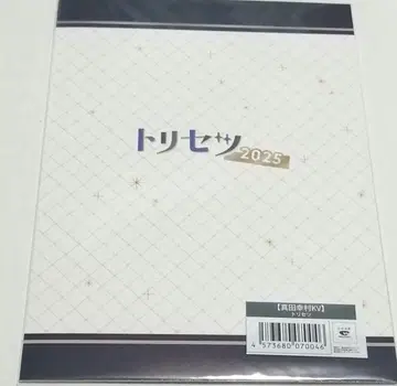 보르페스 2025 트리세츠 100코이 이치노미야 에이스케