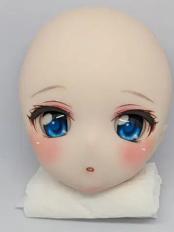 DDH SW 커스텀 헤드