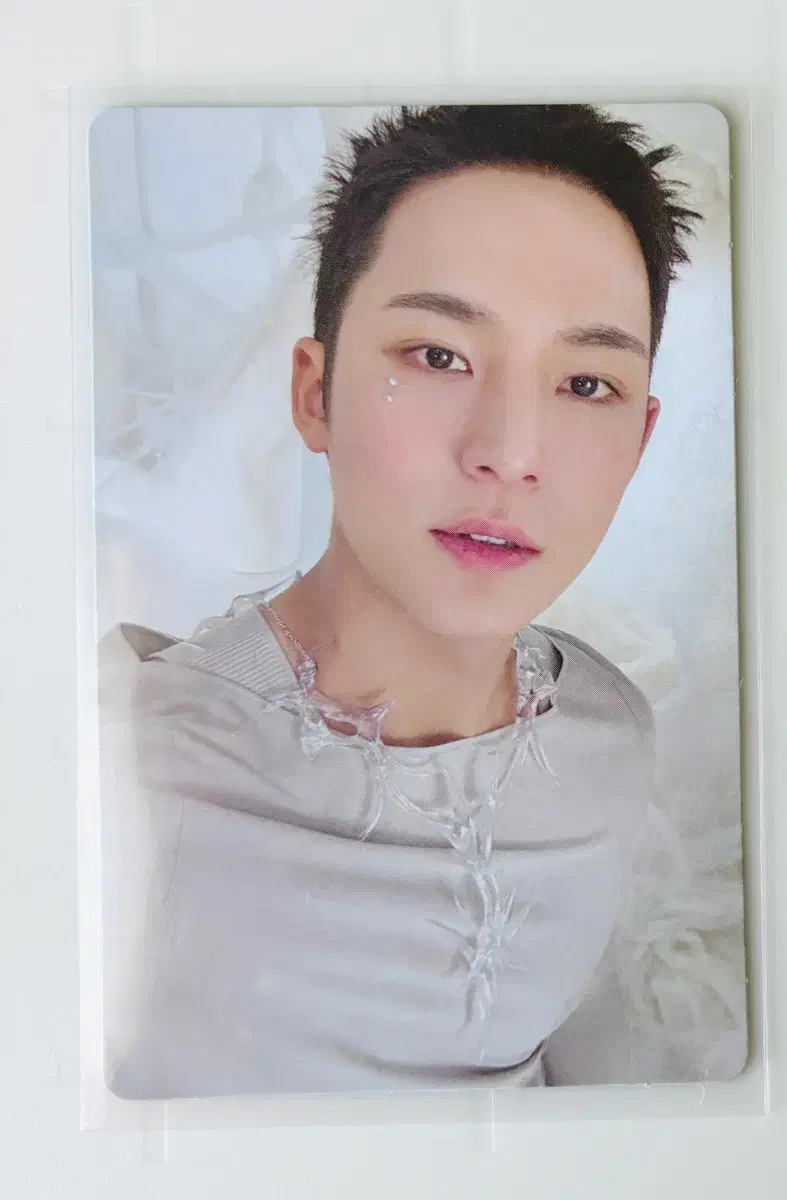 Seventeen mingyu poca