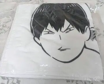 카게야마 토비우오 잡기, 물고기 도장 타월