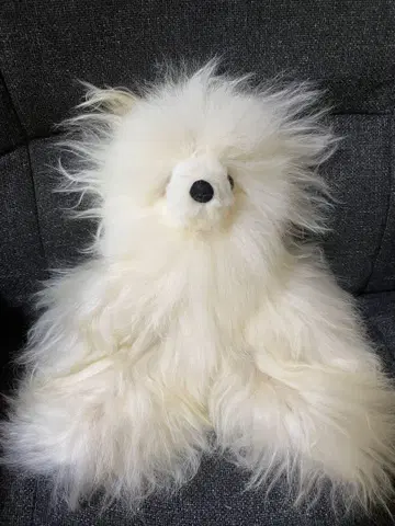 알파카 테디베어 곰 봉제 인형 알파카 베어