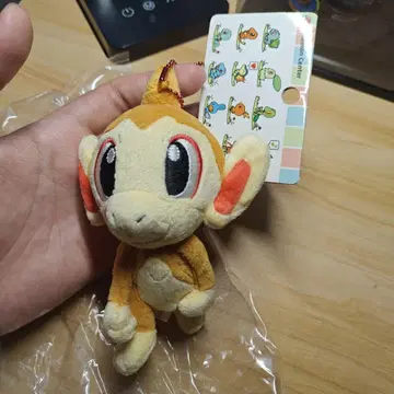 포켓몬 센터 데리고 다니는 마스코트 봉제 인형 히코자루