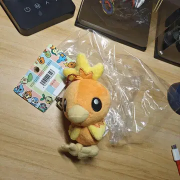 포켓몬 센터 데리고 다니는 마스코트 봉제 인형 아차모