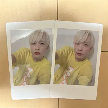팬더 드래곤 파라곤 하피카 요타