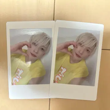 팬더 드래곤 파라곤 하피카 요타