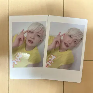 팬더 드래곤 파라곤 하피카 요타