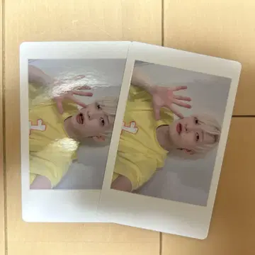 팬더 드래곤 파라곤 하피카 요타