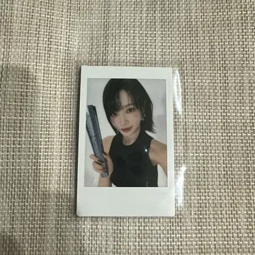 르세라핌 폴라로이드 [채원]