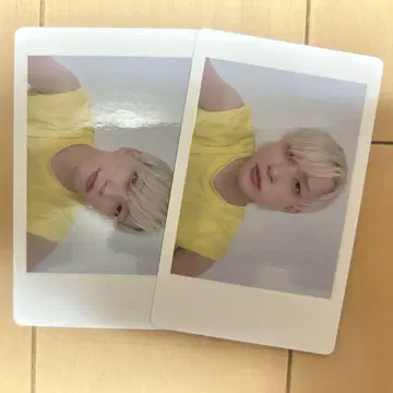 팬더 드래곤 파라곤 하피카 요타