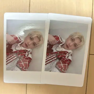 팬더 드래곤 파라곤 하피카 요타