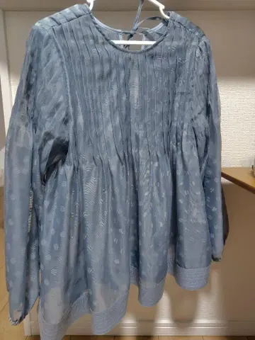 도트 시어 블라우스