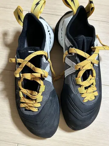 이볼브 샤먼 레이스