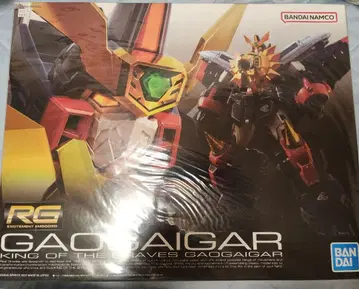 RG 가오가이거