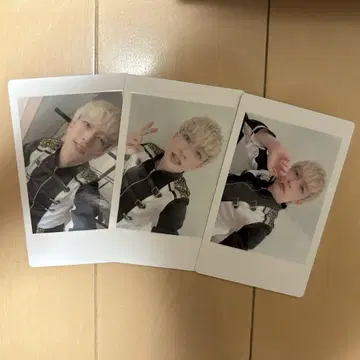팬더 드래곤 파라곤 하피카 요타