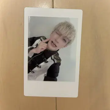 팬더 드래곤 파라곤 하피카 요타