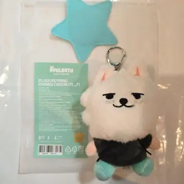 ppulbatu 뿔바투 용몬 플러시 키링 키링
