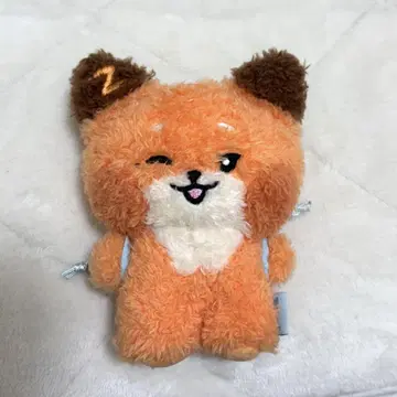 제베원 메시지 봉제 인형 키링 키링 메테우 투니니