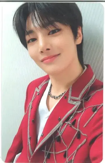 StrayKids MANIAC in JAPAN I.N 트레이딩 카드
